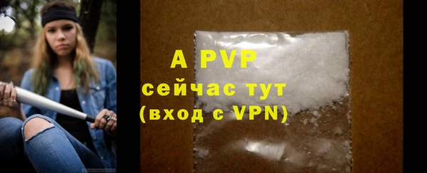 a pvp Каменка