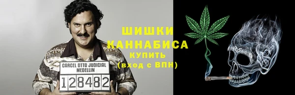 a pvp Каменка