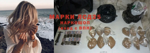 a pvp Каменка